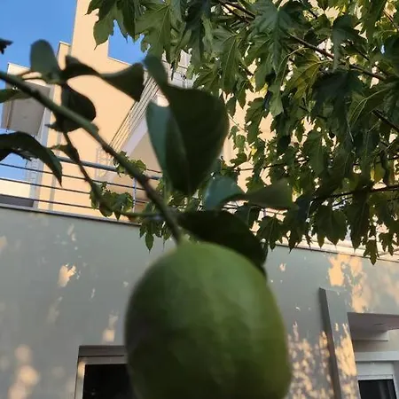 The Bright House A Two-storey Maisonette In