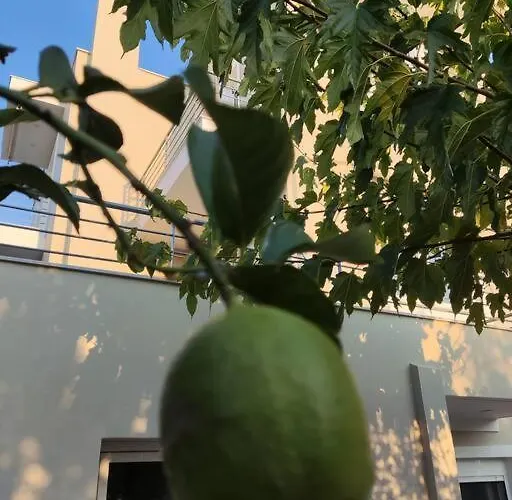 The Bright House A Two-storey Maisonette In